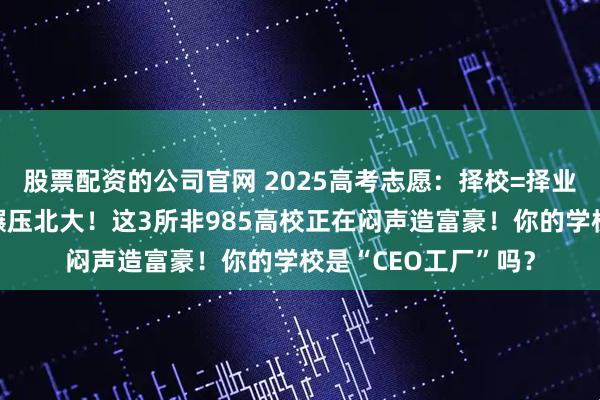 股票配资的公司官网 2025高考志愿：择校=择业？清华资本圈校友碾压北大！这3所非985高校正在闷声造富豪！你的学校是“CEO工厂”吗？