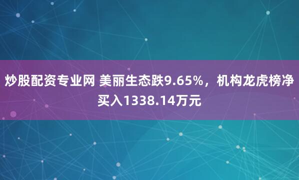 炒股配资专业网 美丽生态跌9.65%，机构龙虎榜净买入1338.14万元