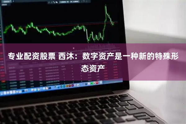 专业配资股票 西沐：数字资产是一种新的特殊形态资产