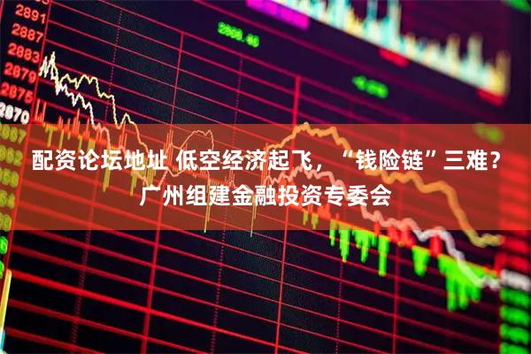 配资论坛地址 低空经济起飞，“钱险链”三难？广州组建金融投资专委会